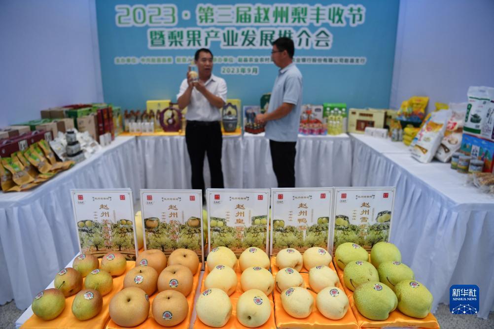 棋牌app下载